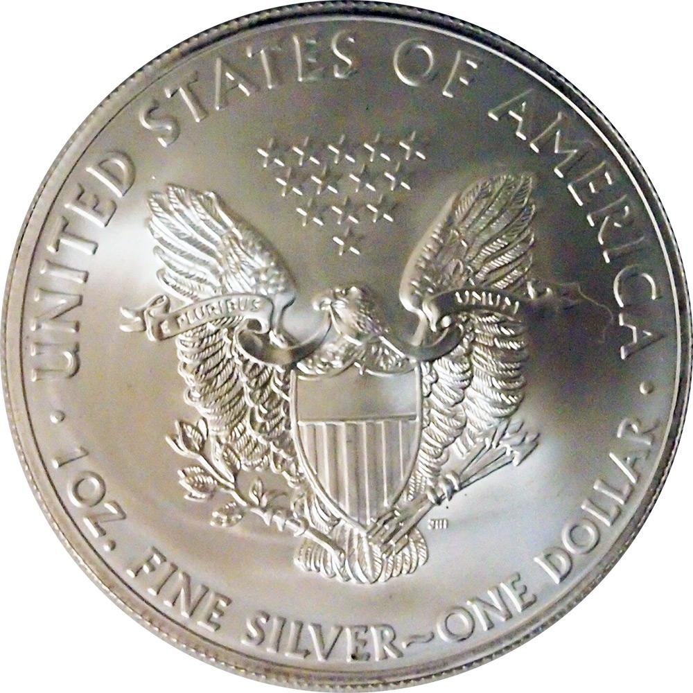2013 Silver American Eagle Brilliant Uncirculated Gem US Coin 1 oz .999 Fine Silver $1